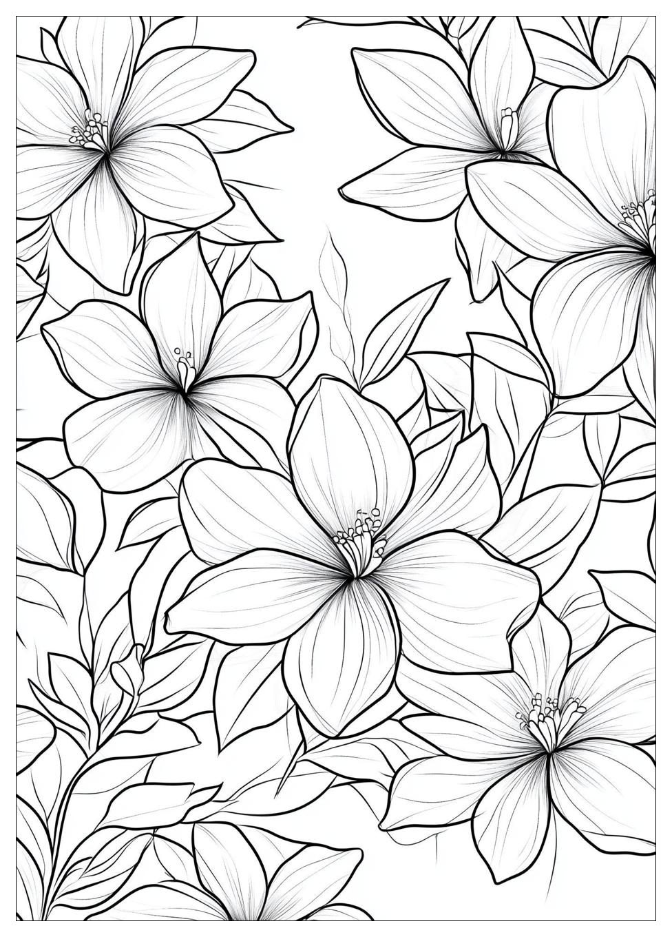 3D Coloring Pages-15