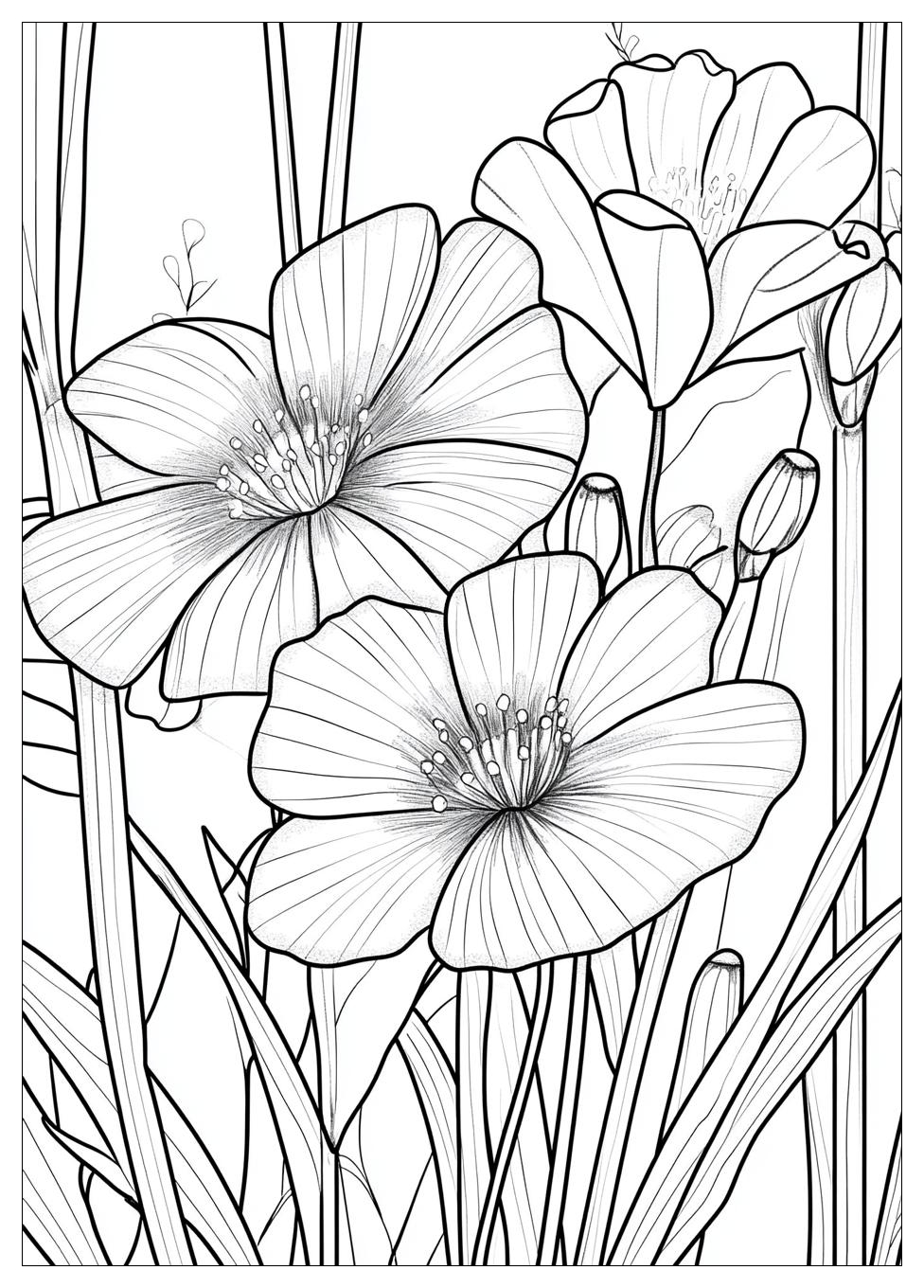Aesthetic Coloring Pages-18