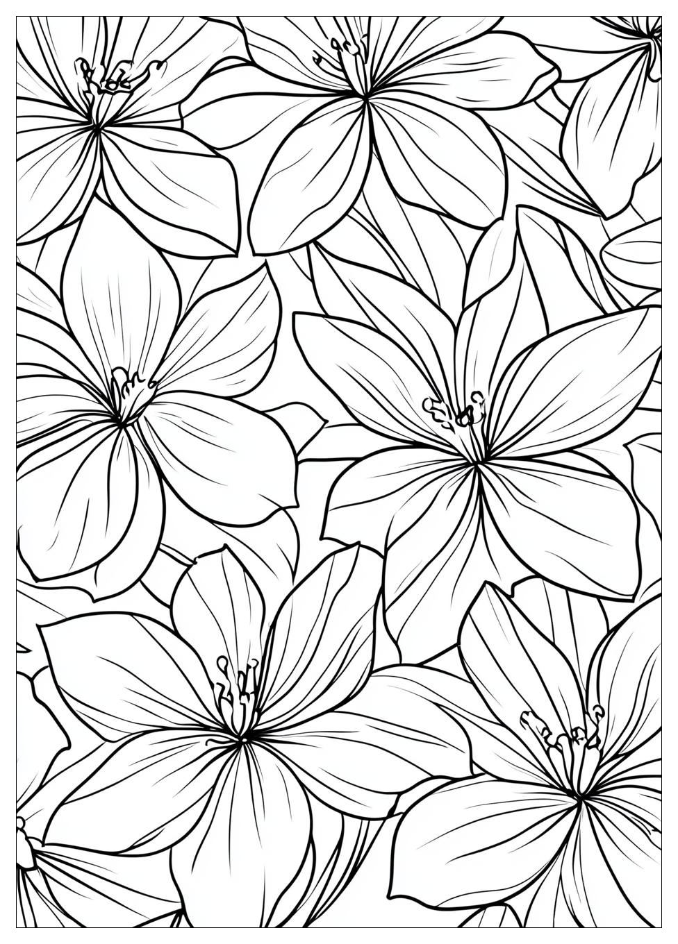 Aesthetic Coloring Pages-4