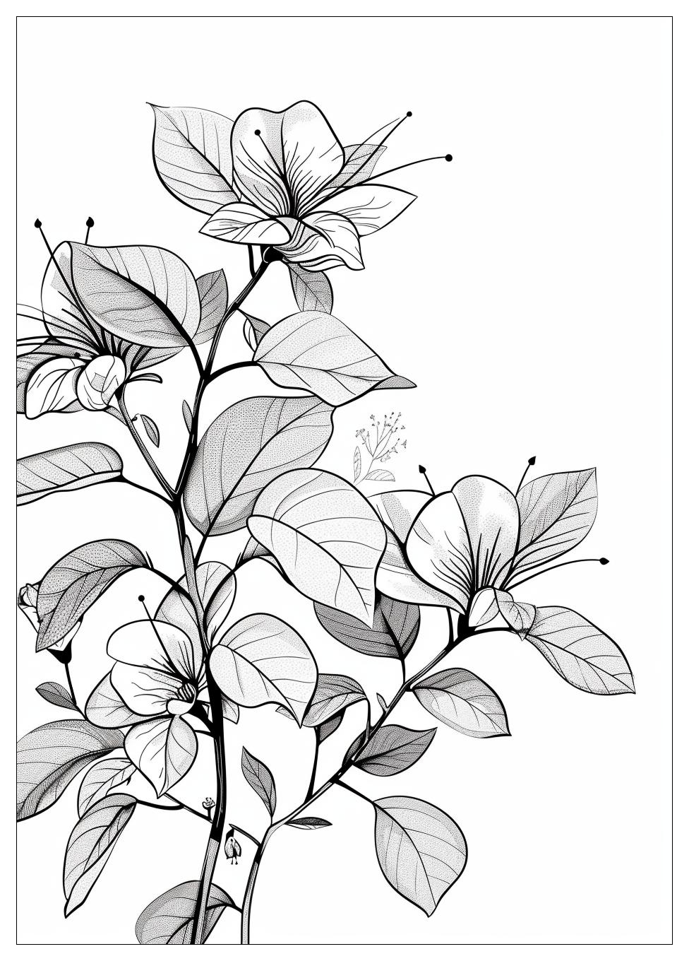 Aesthetic Plant Coloring Pages-19