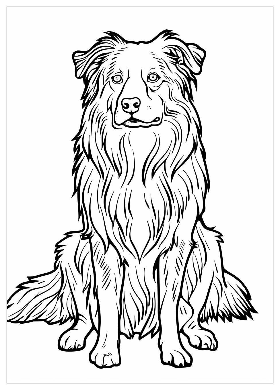 Australian Shepherd Coloring Pages-10