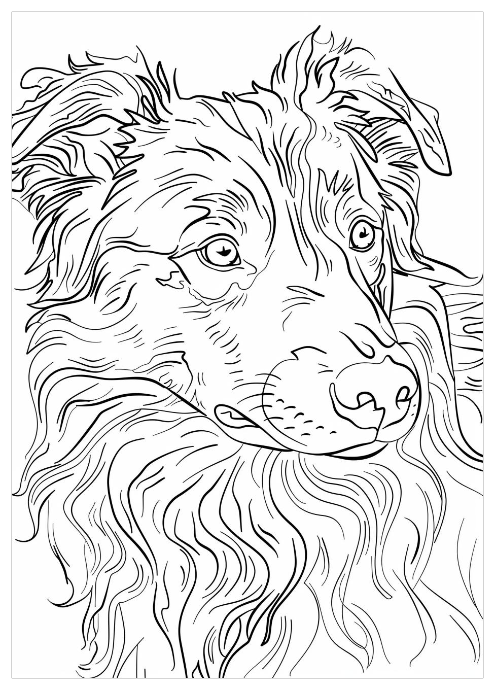 Australian Shepherd Coloring Pages-14