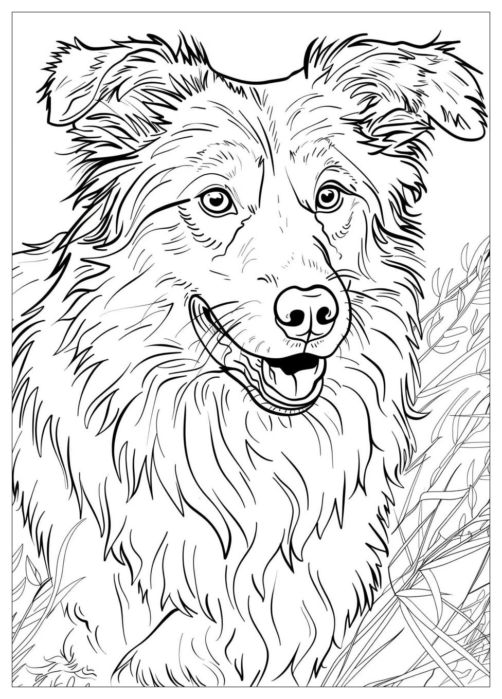 Australian Shepherd Coloring Pages-19