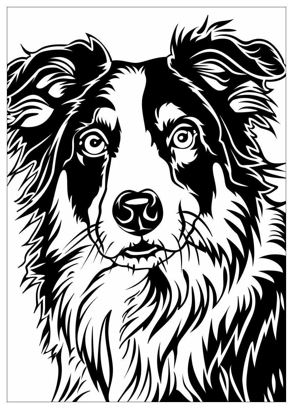 Australian Shepherd Coloring Pages-5