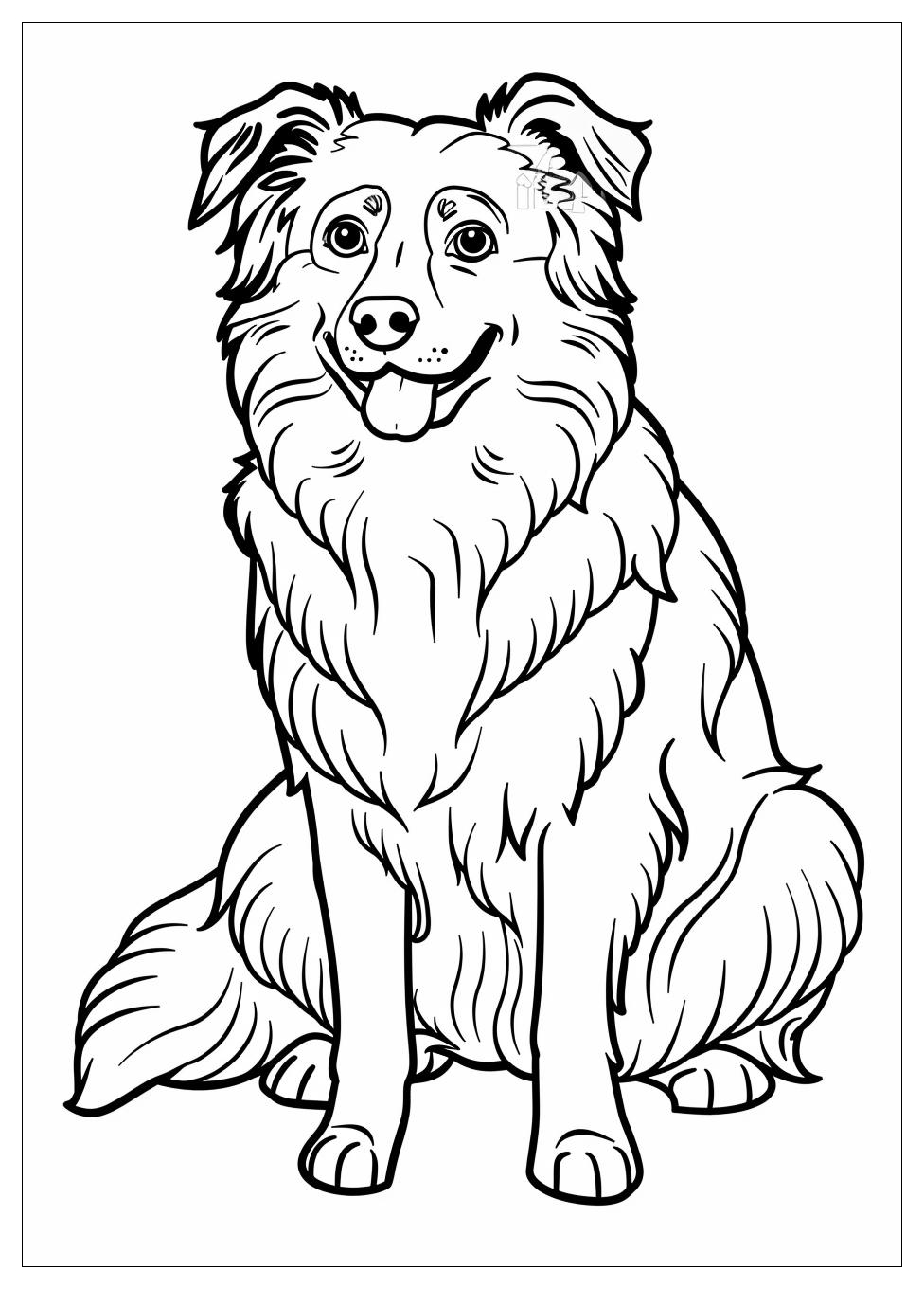 Australian Shepherd Coloring Pages-6