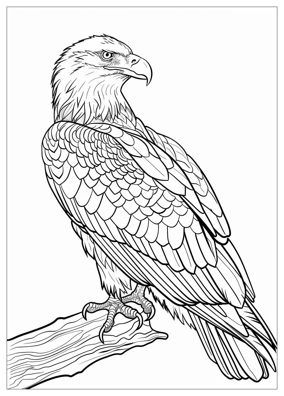 Bald Eagle Coloring Pages-11