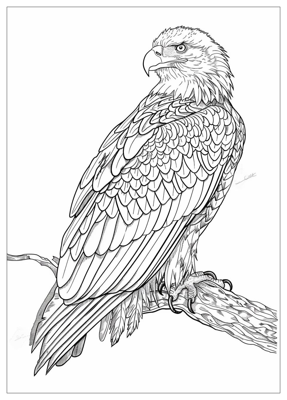 Bald Eagle Coloring Pages-17