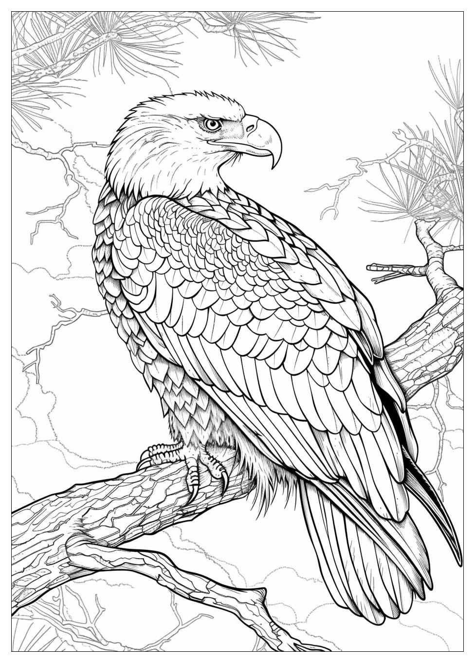 Bald Eagle Coloring Pages-9