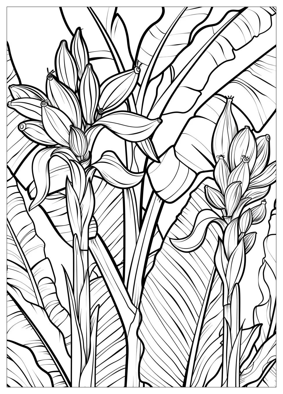Banana Tree Coloring Pages-13