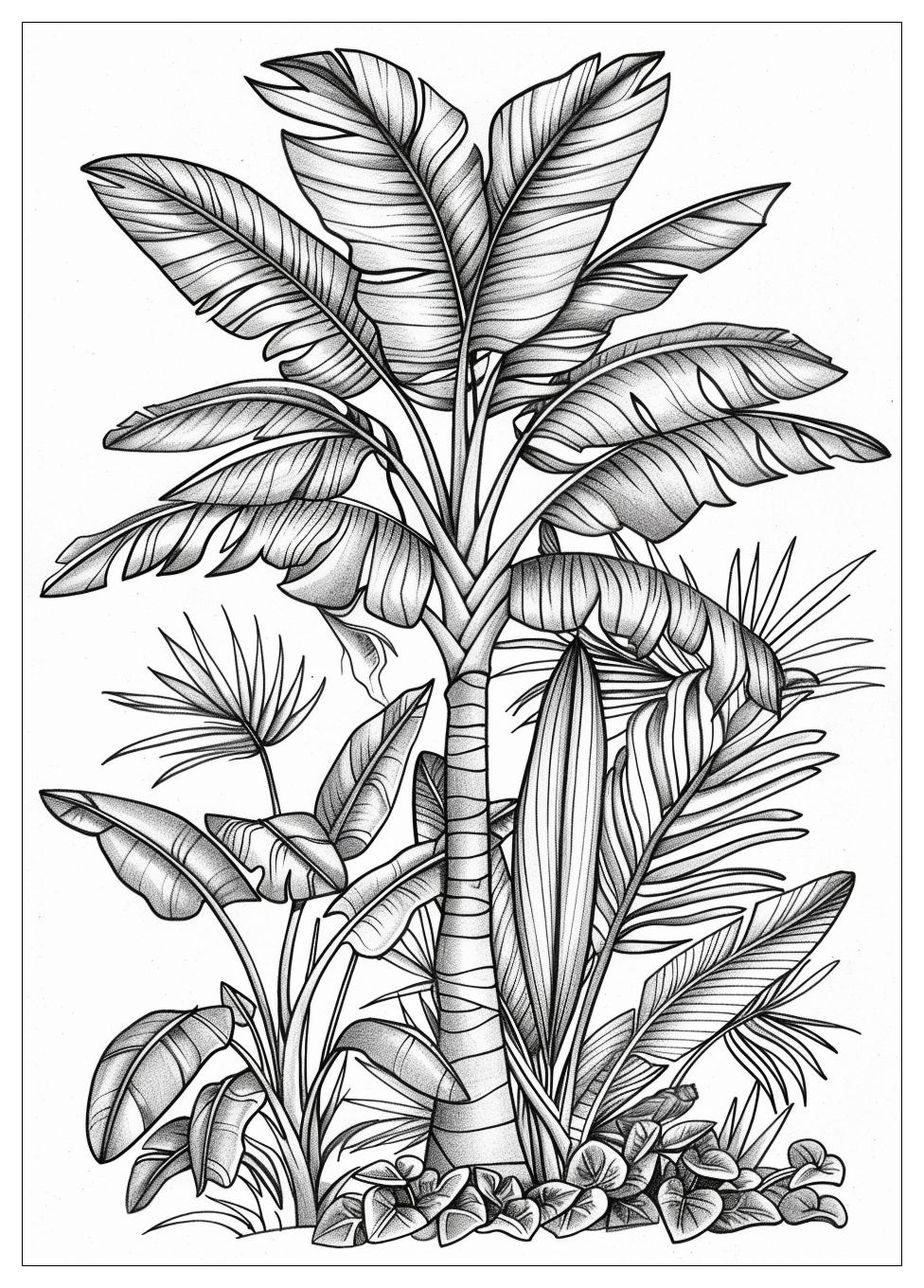 Banana Tree Coloring Pages-14