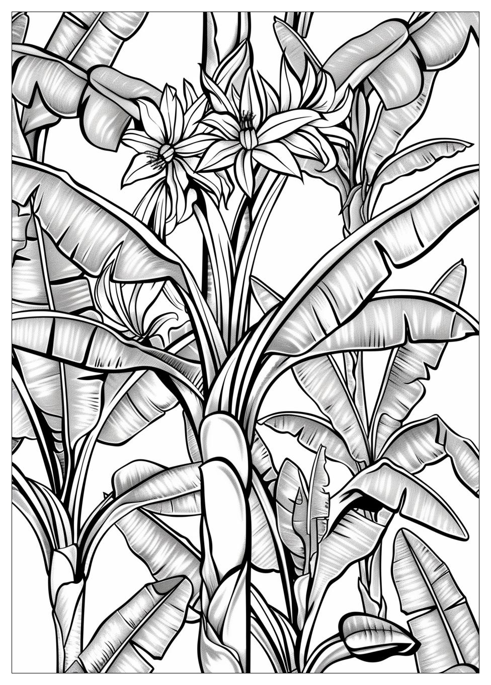 Banana Tree Coloring Pages-16
