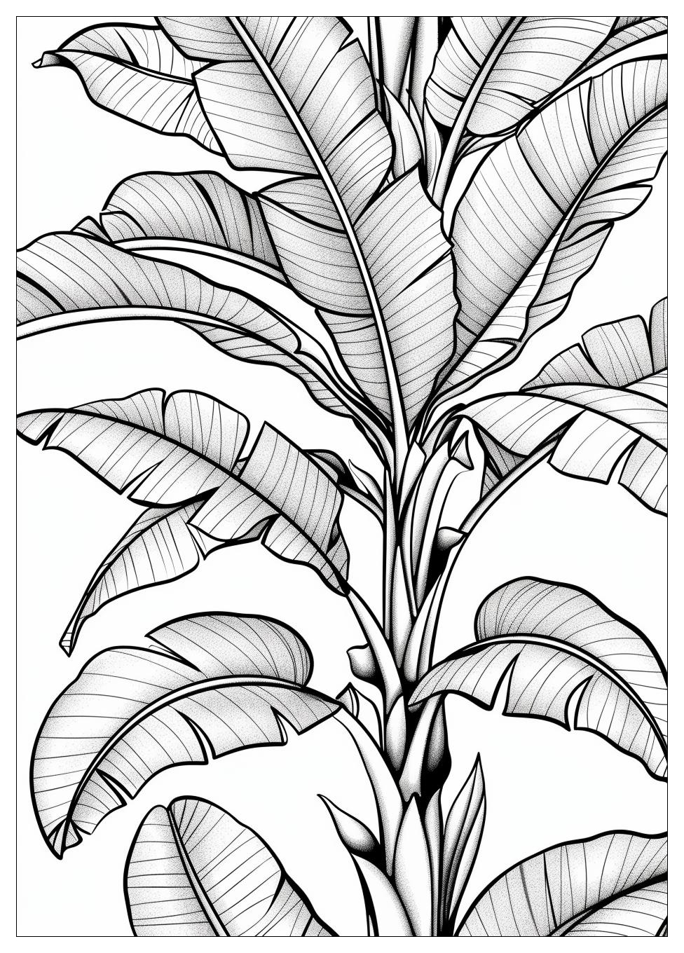 Banana Tree Coloring Pages-17
