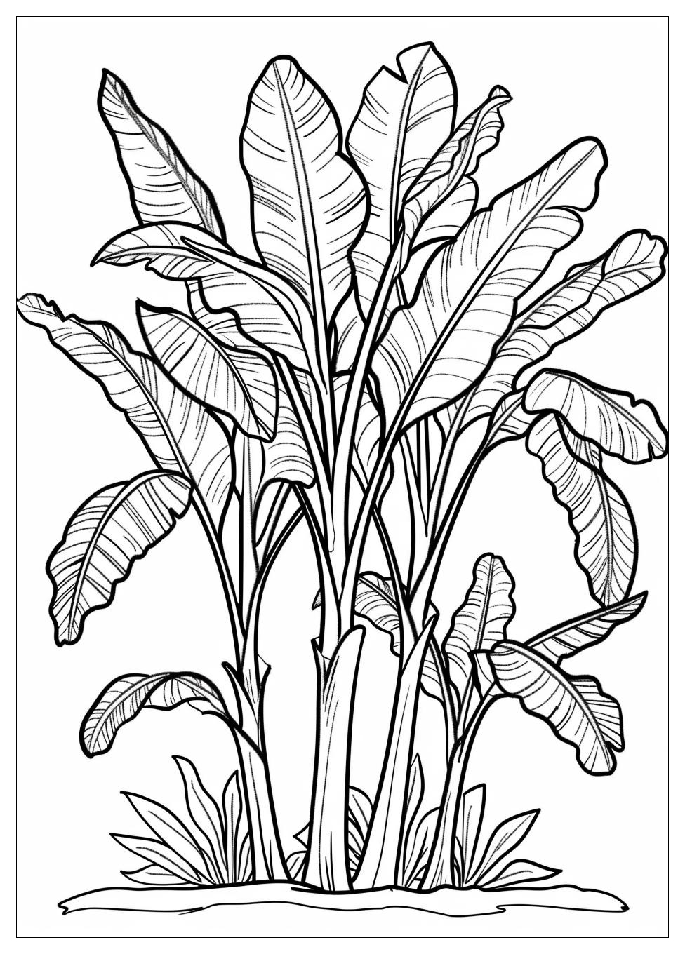 Banana Tree Coloring Pages-6