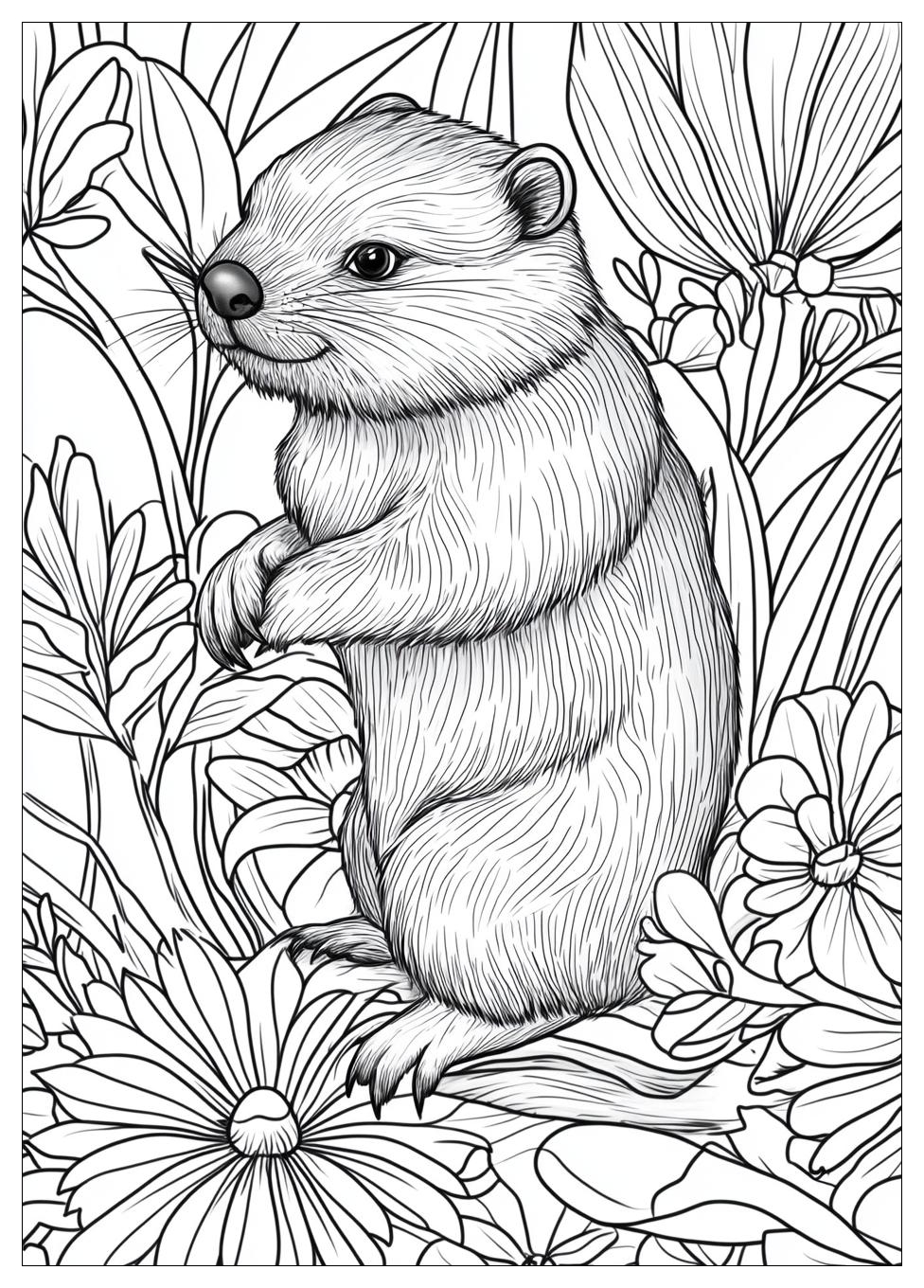 Beaver Coloring Pages-14
