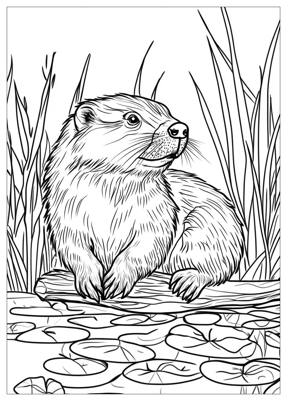 Beaver Coloring Pages-15
