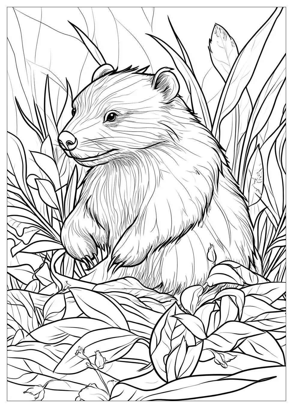 Beaver Coloring Pages-16