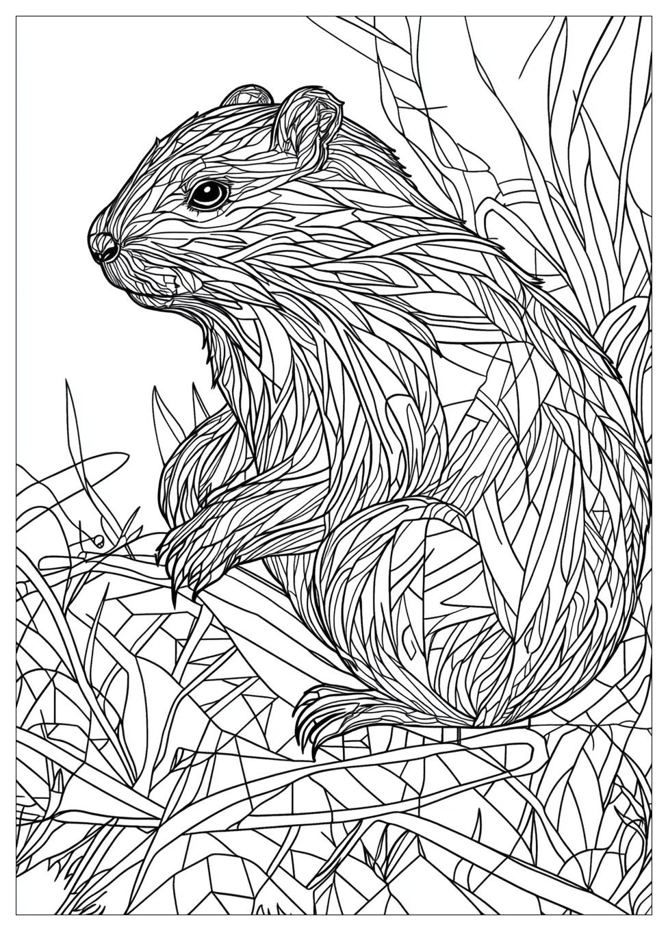 Beaver Coloring Pages-18