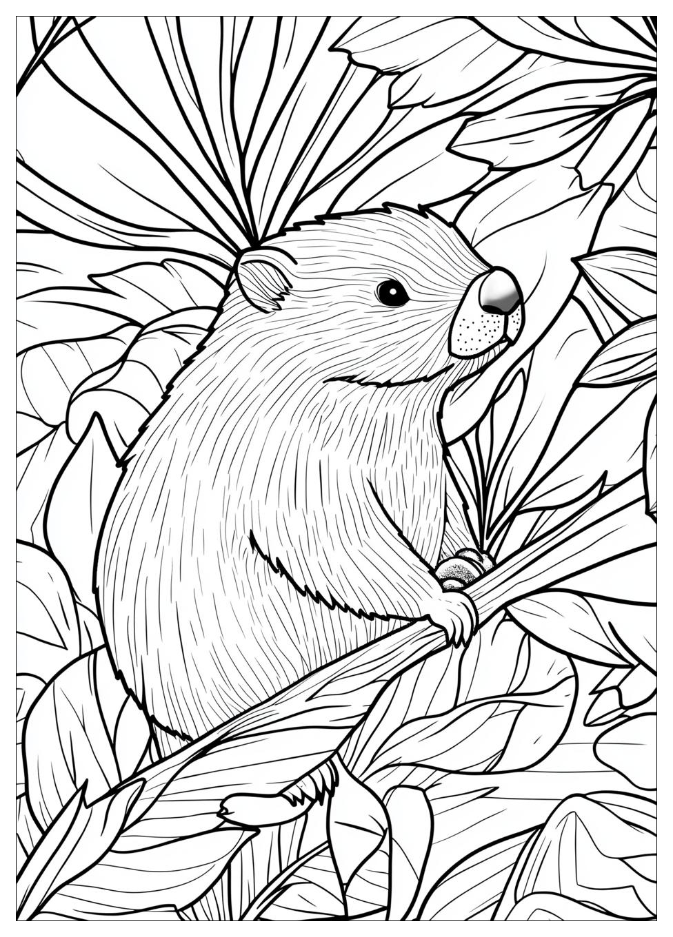 Beaver Coloring Pages-9