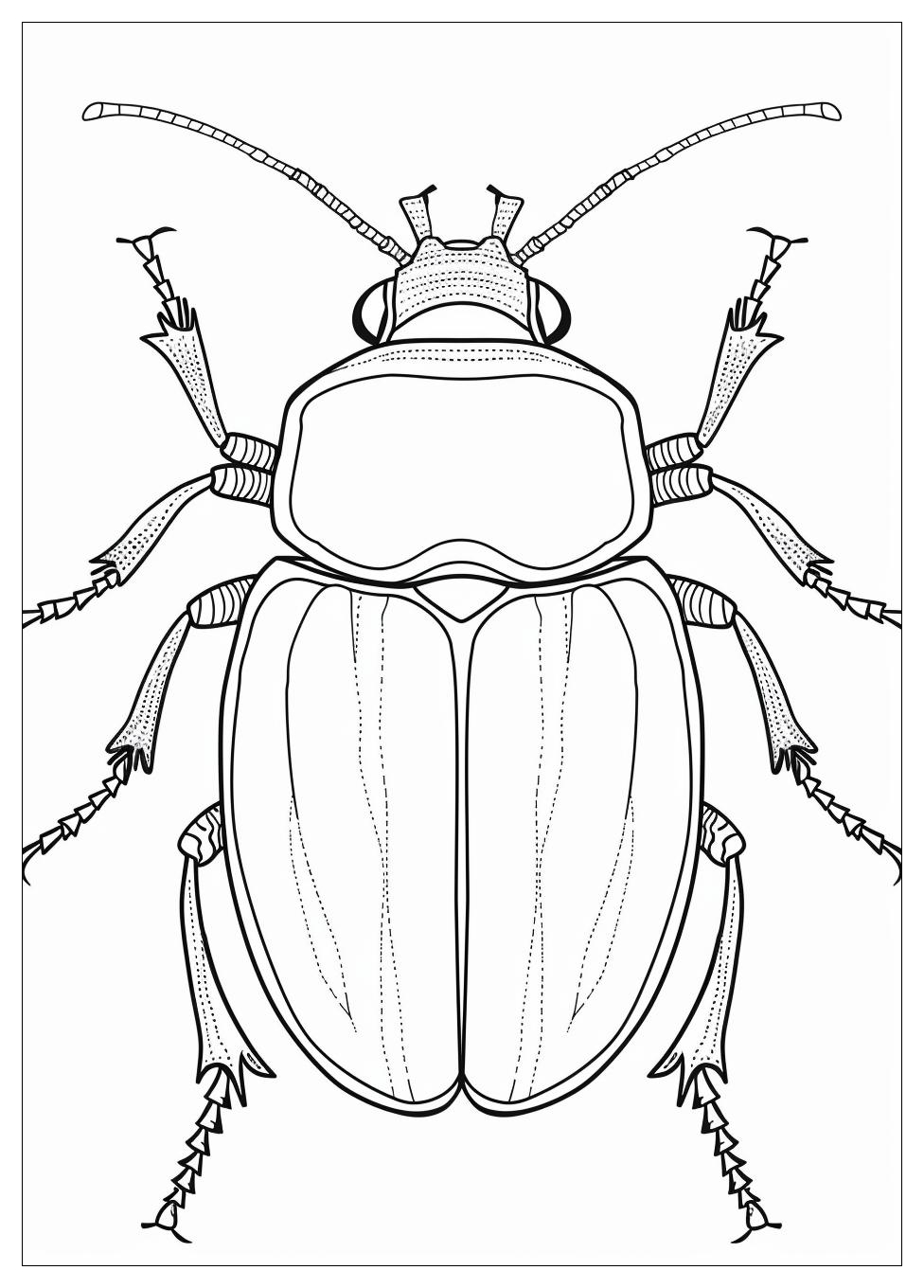 Beetle Coloring Pages-12