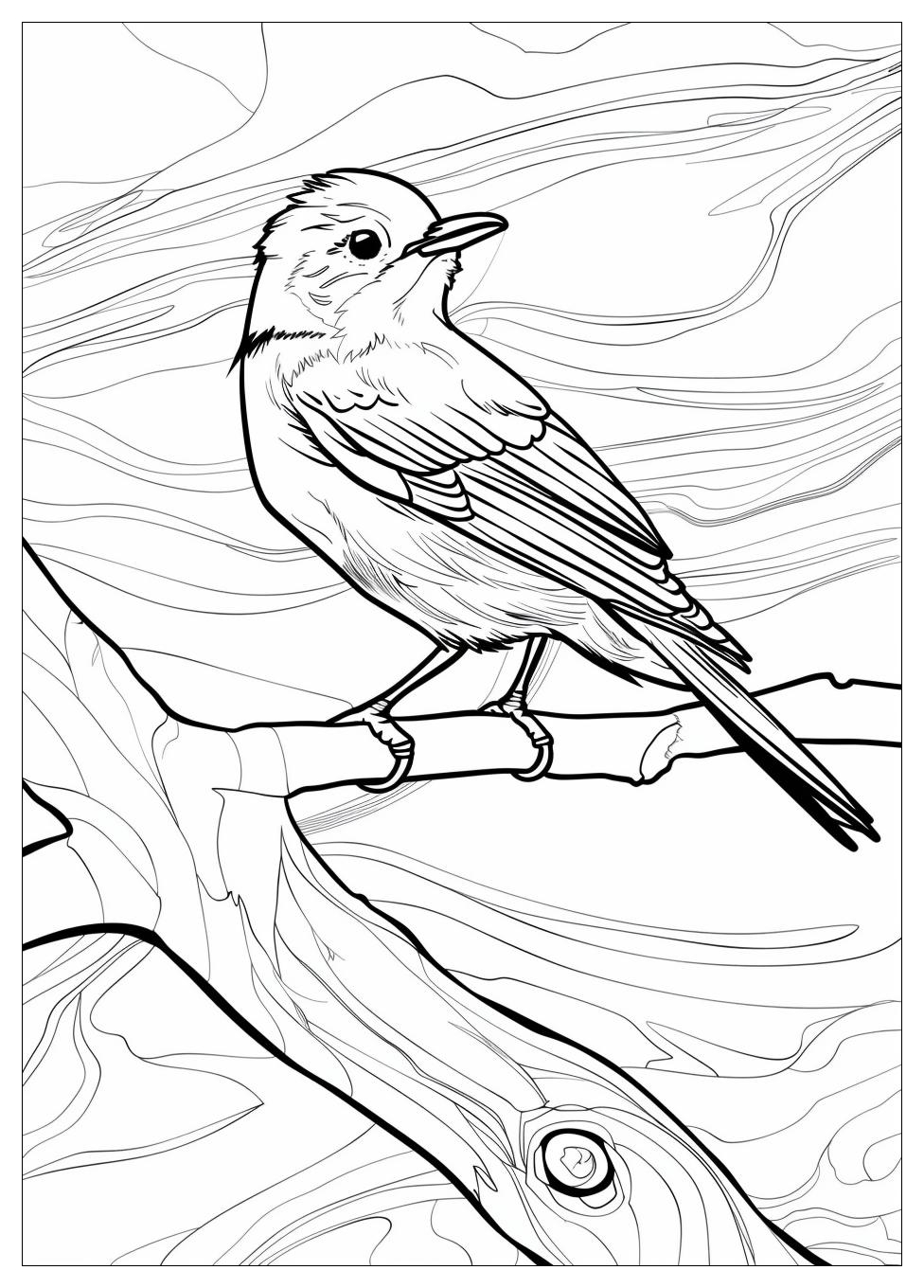 Bird Coloring Pages-1