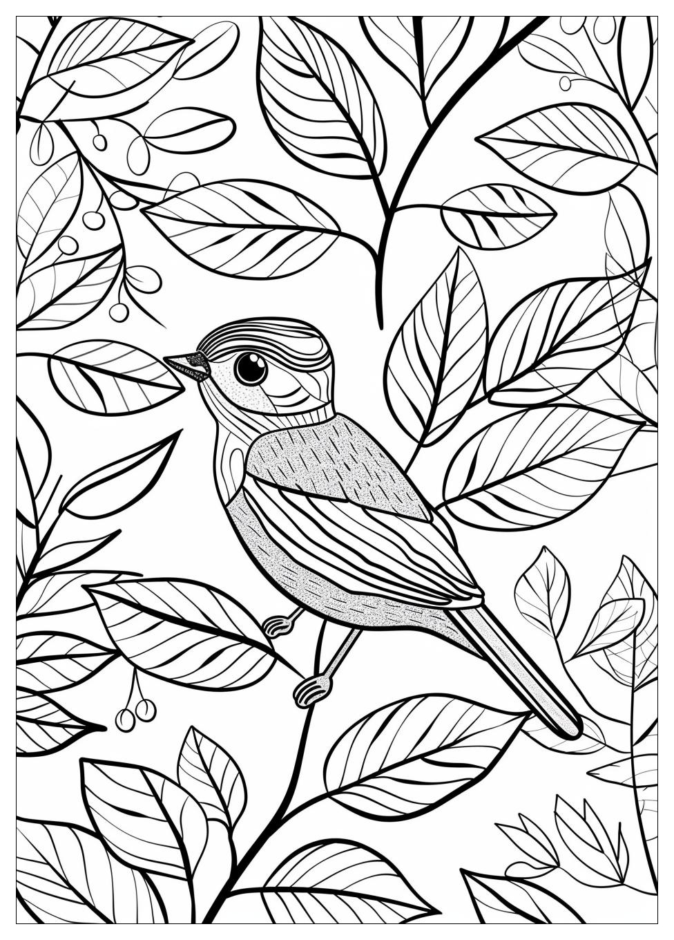 Bird Coloring Pages-10