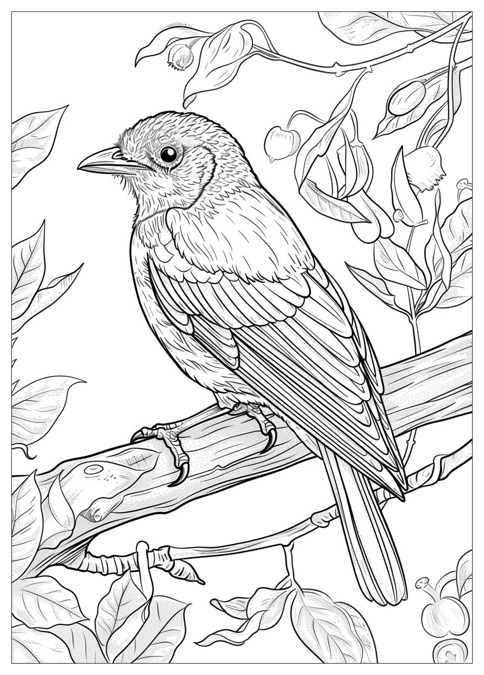 Bird Coloring Pages-16