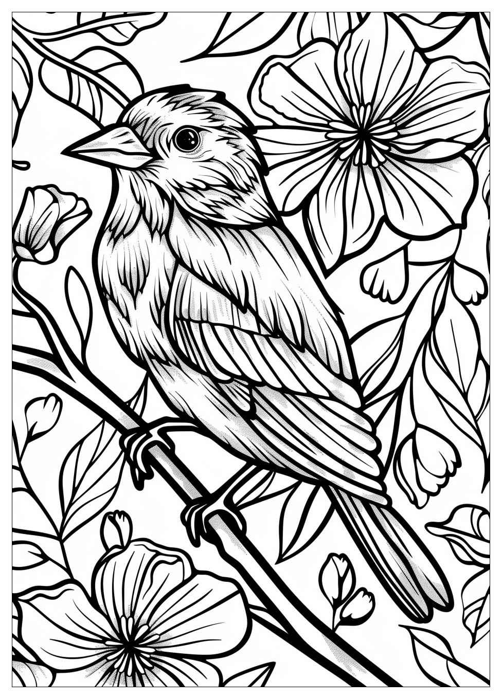 Bird Coloring Pages-17