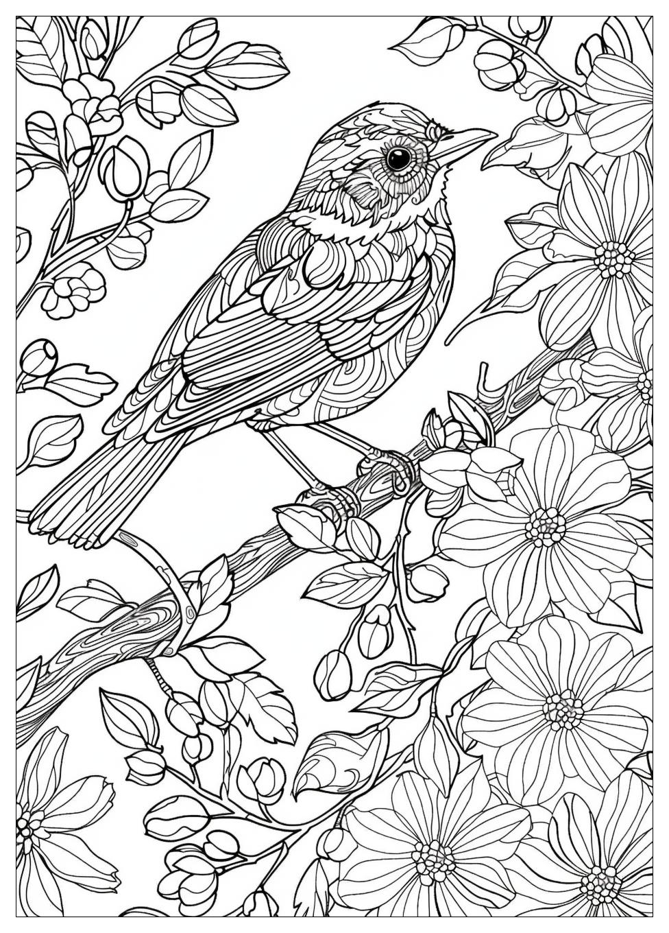 Bird Coloring Pages-19