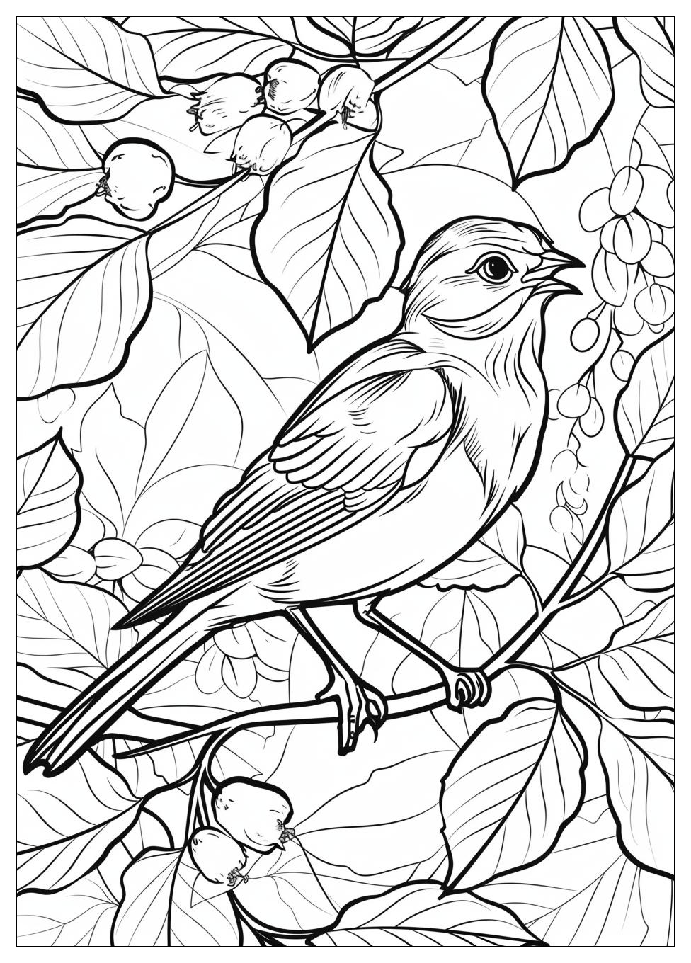 Bird Coloring Pages-2