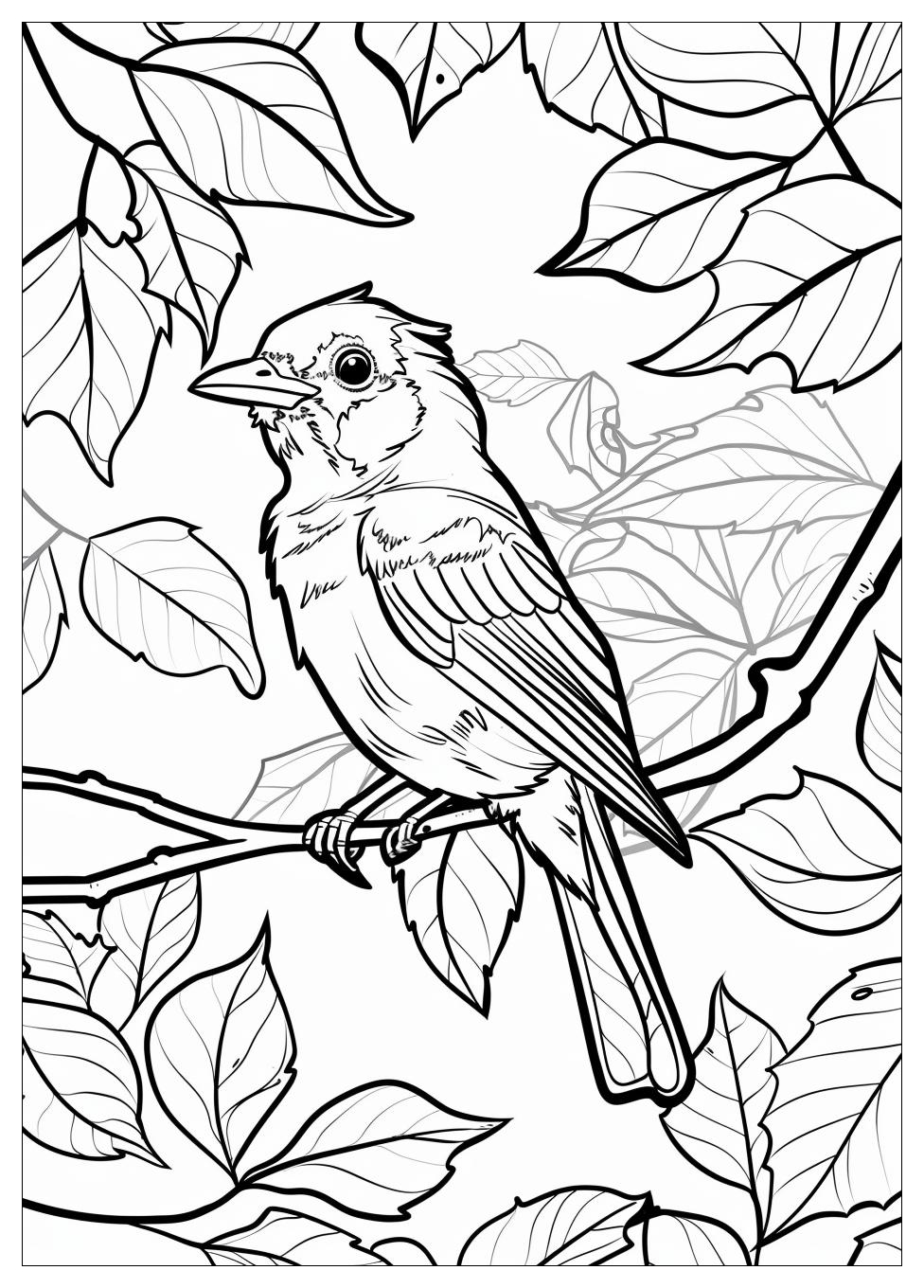 Bird Coloring Pages-3