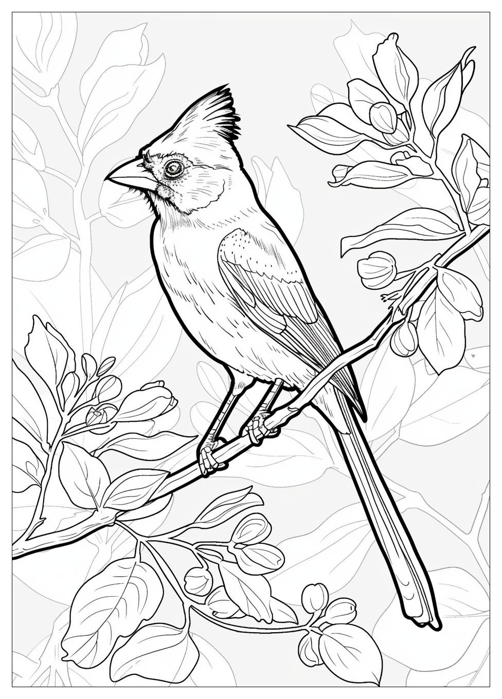 Bird Coloring Pages-4
