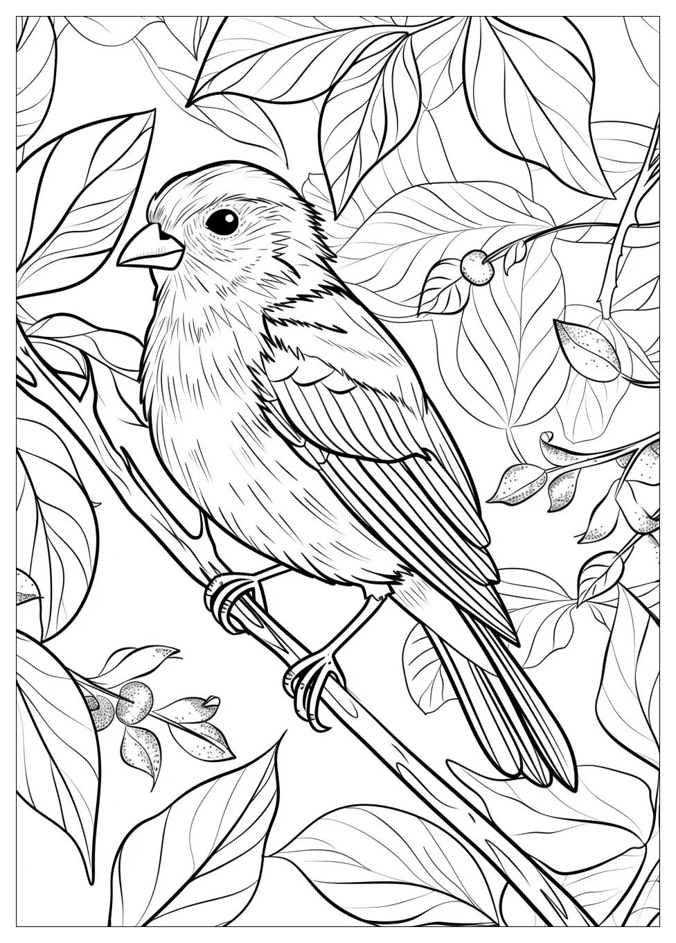 Bird Coloring Pages-5