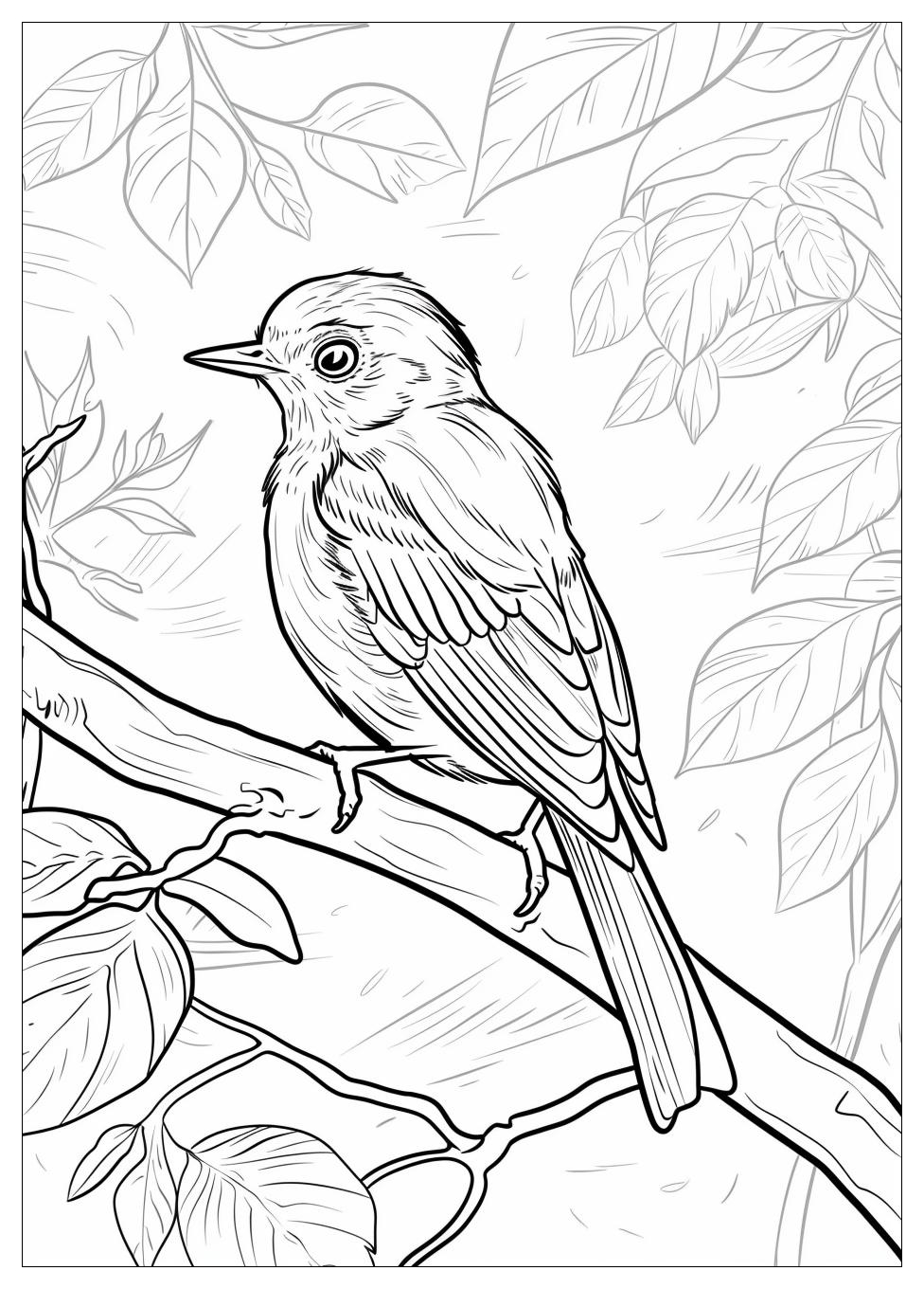 Bird Coloring Pages-8