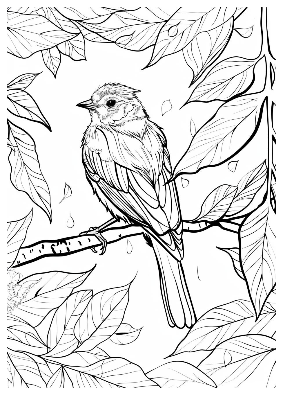 Bird Coloring Pages-9