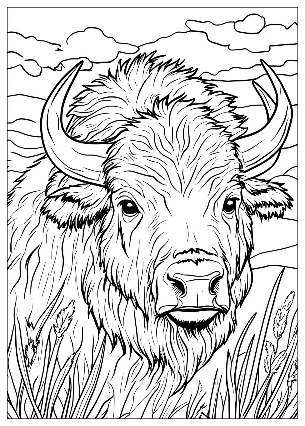 Buffalo Coloring Pages-1