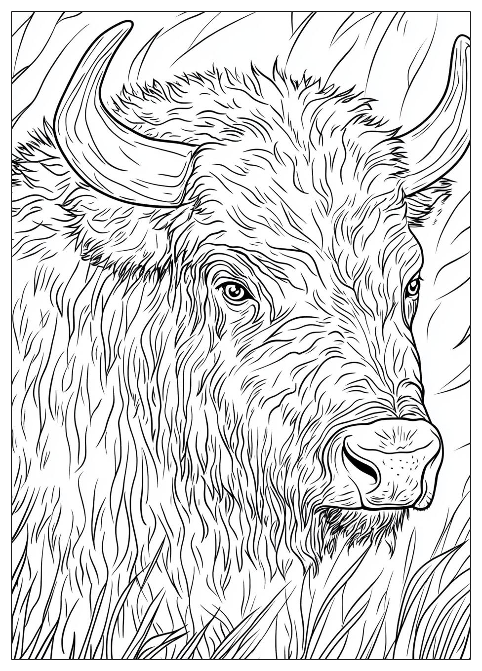 Buffalo Coloring Pages-10