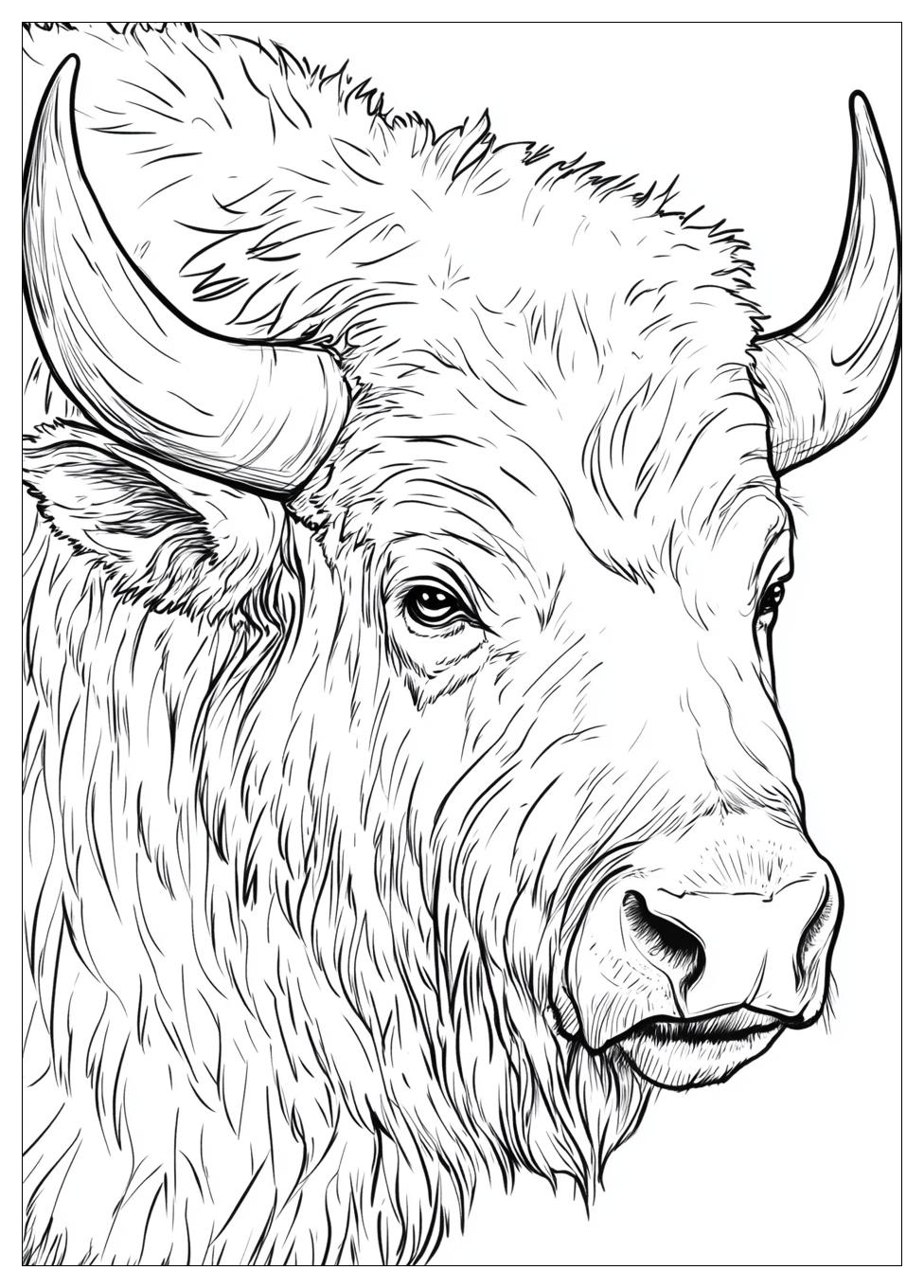 Buffalo Coloring Pages-12