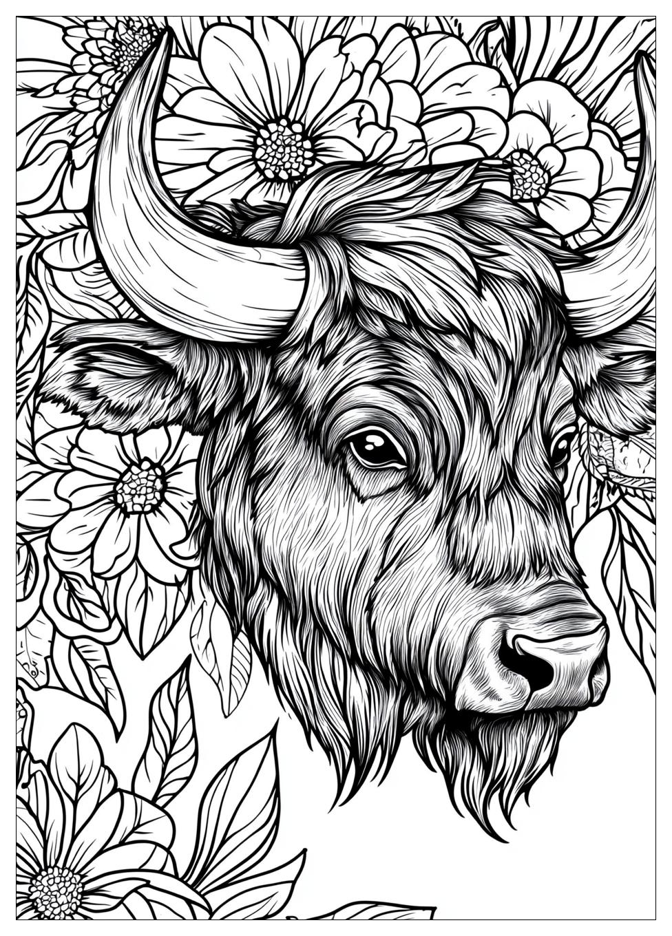 Buffalo Coloring Pages-13