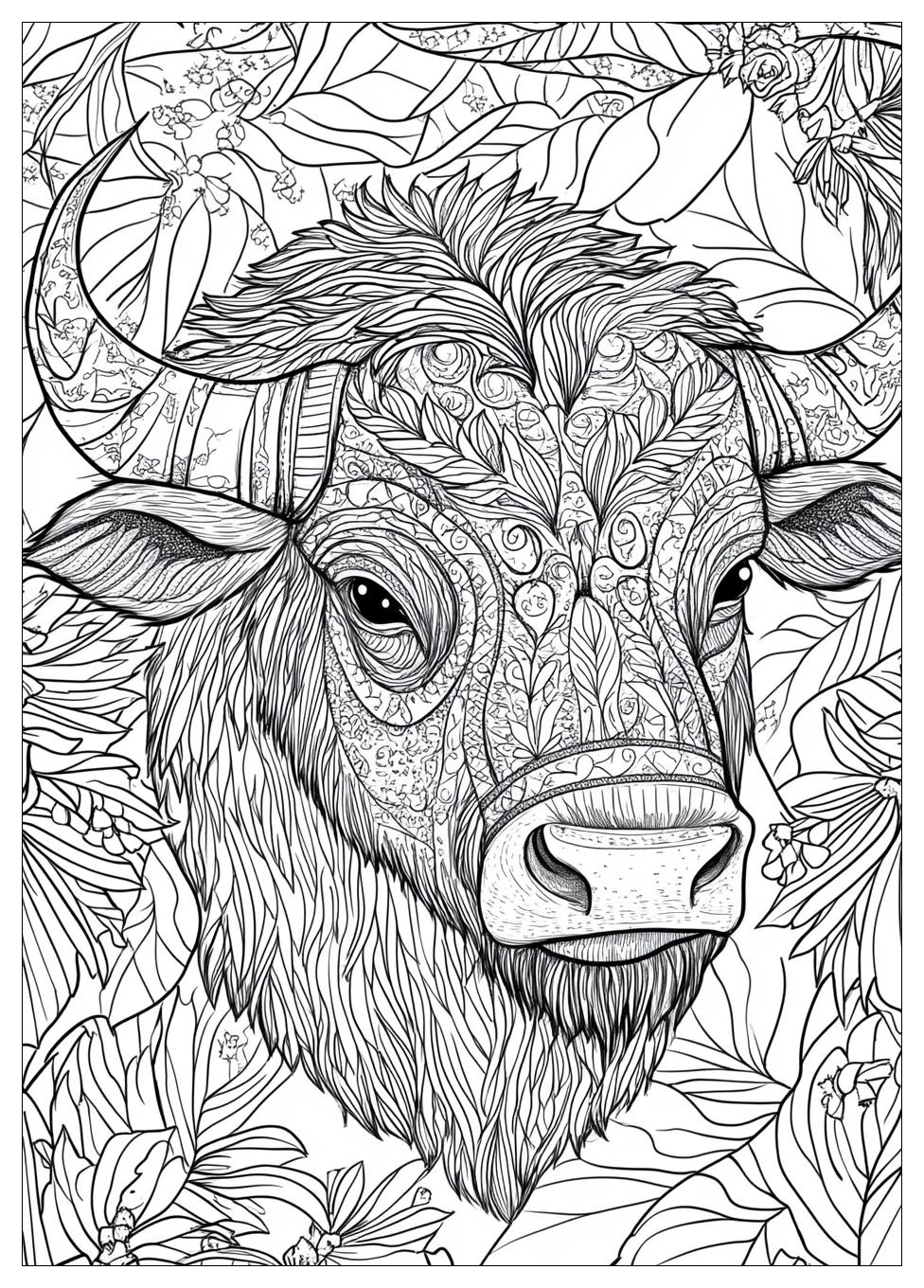 Buffalo Coloring Pages-16