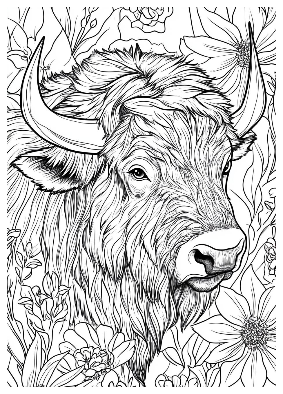 Buffalo Coloring Pages-17