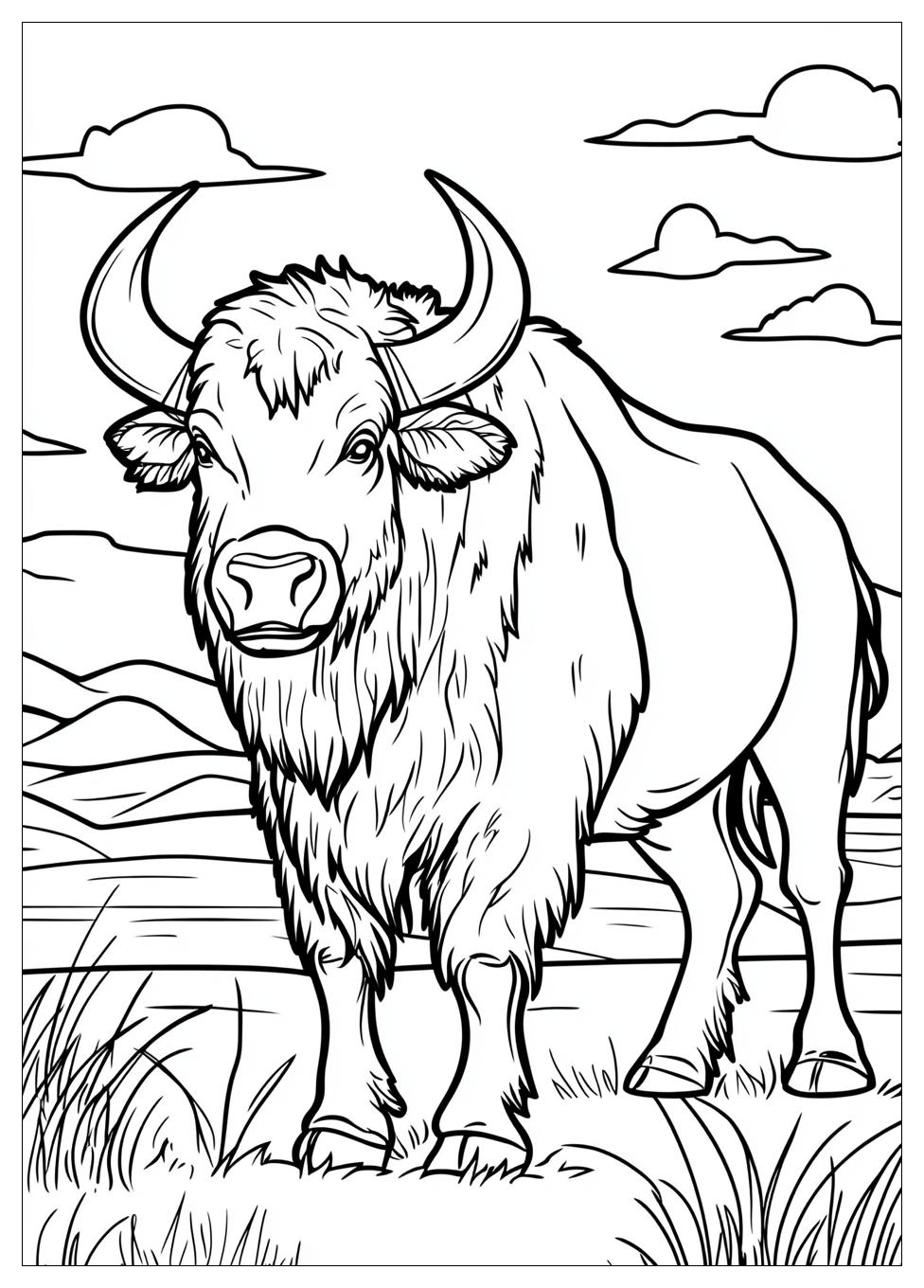 Buffalo Coloring Pages-3