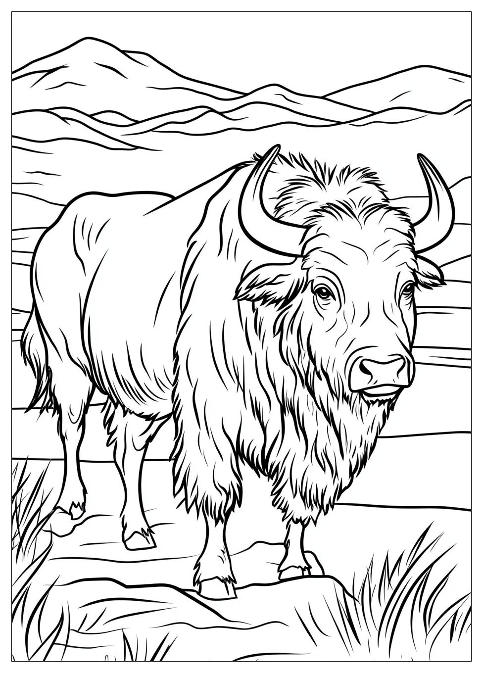 Buffalo Coloring Pages-4