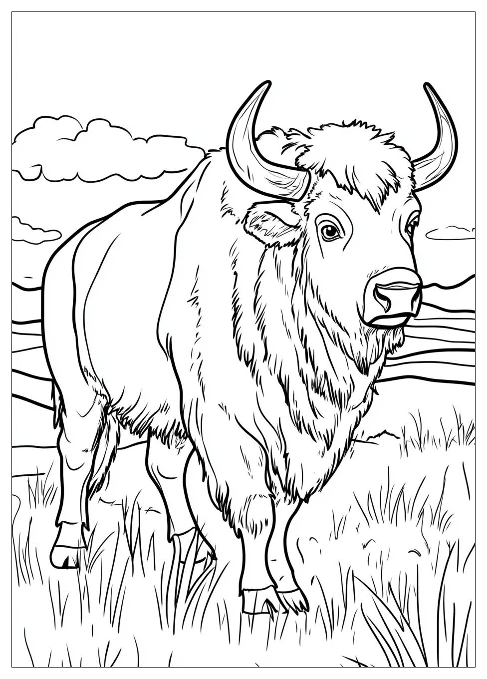 Buffalo Coloring Pages-8