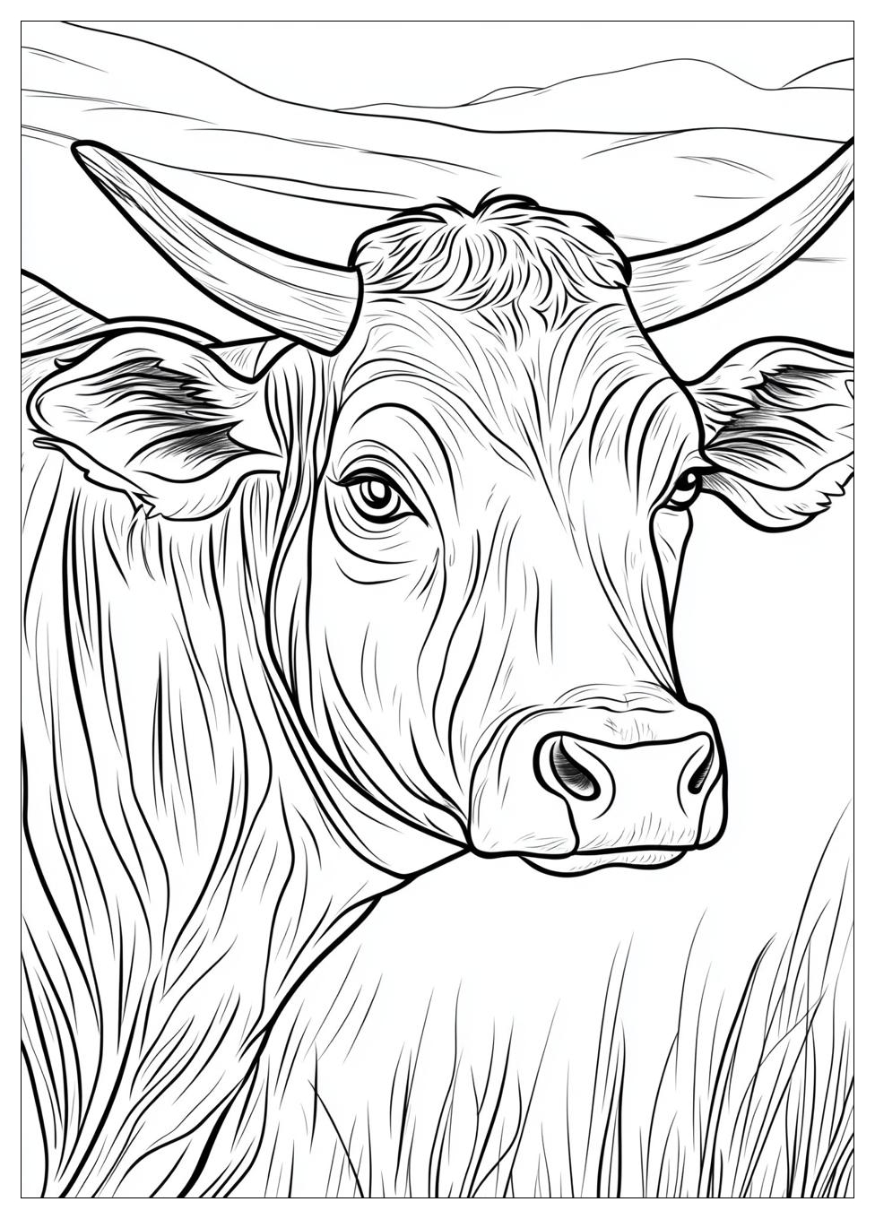 Bull Coloring Pages-10