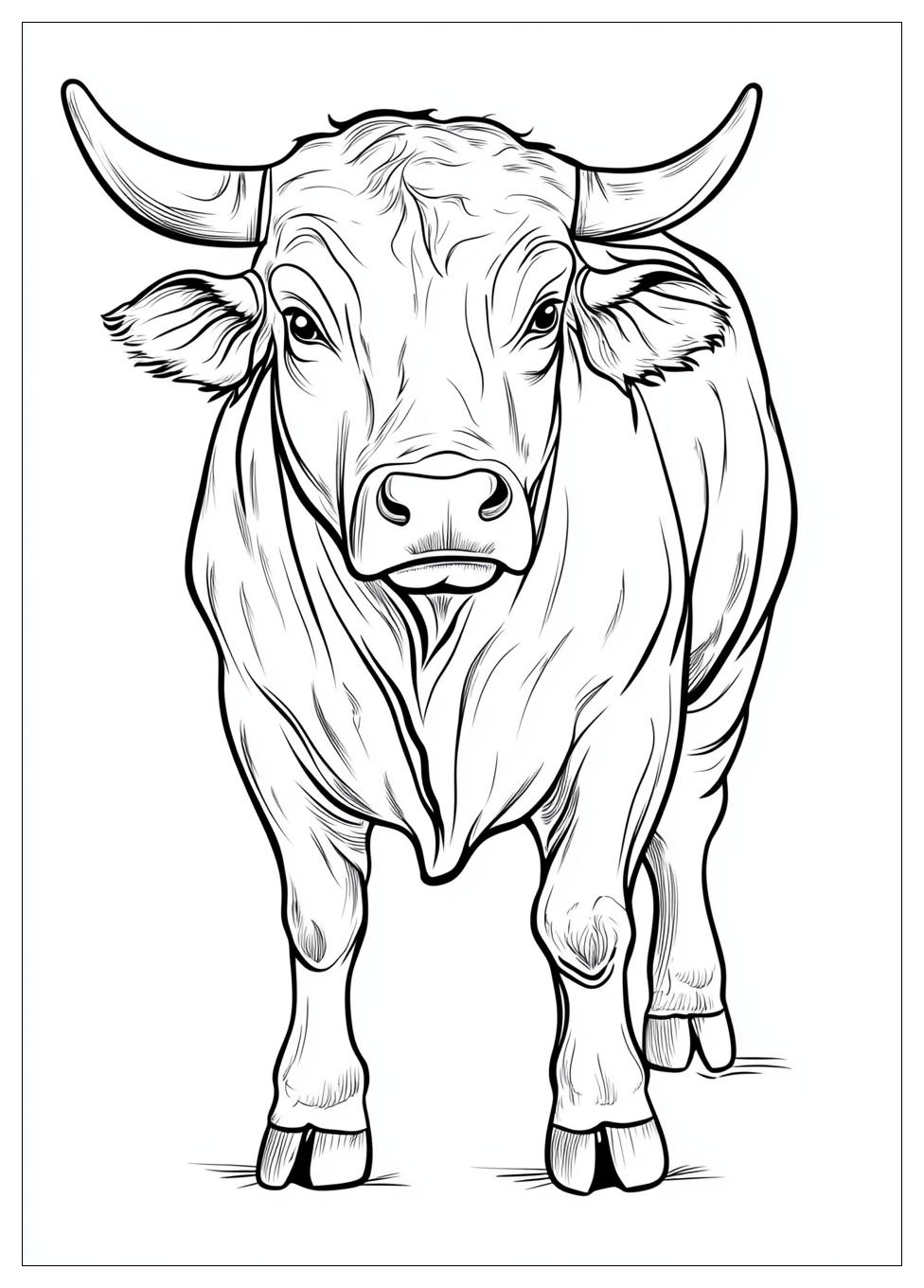Bull Coloring Pages-11