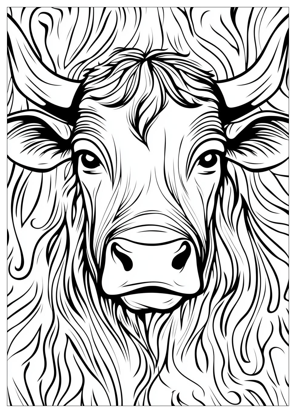 Bull Coloring Pages-4
