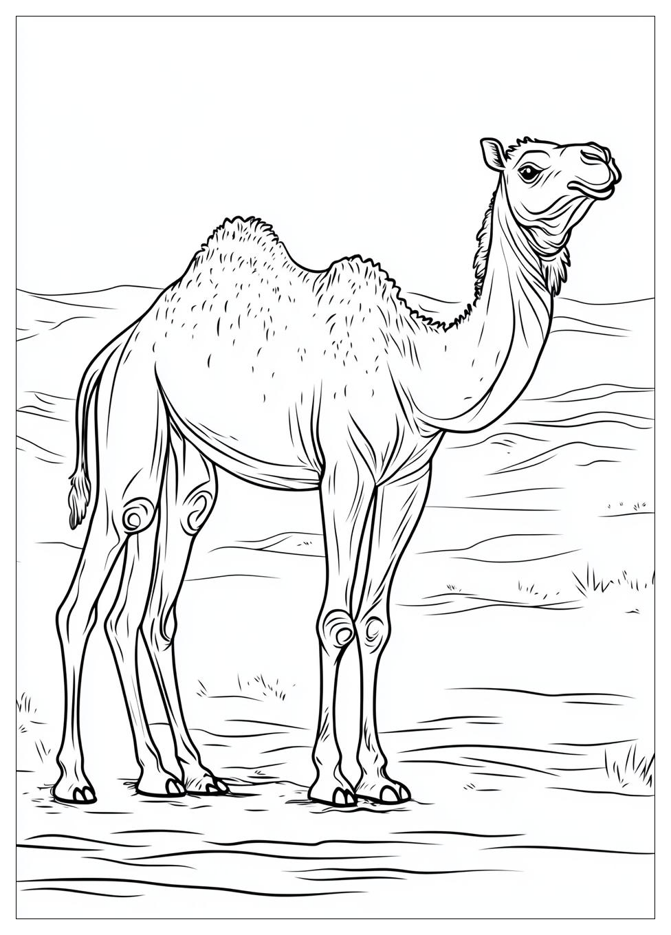 Free Printable Camel Coloring Pages 1 Camel Coloring Pages-1