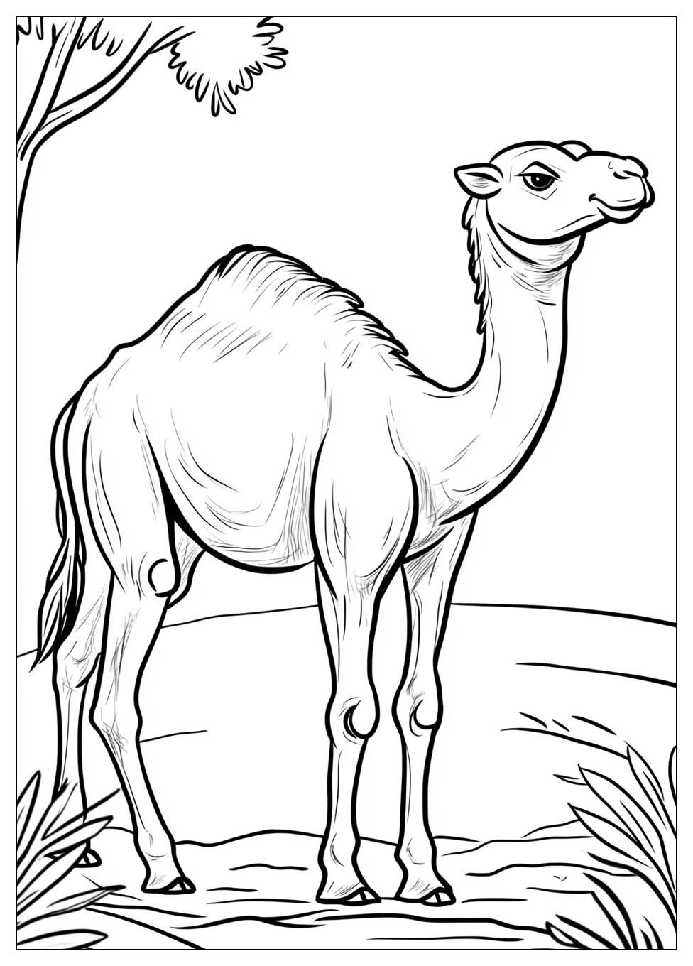 Free Printable Camel Coloring Pages 11 Camel Coloring Pages-11