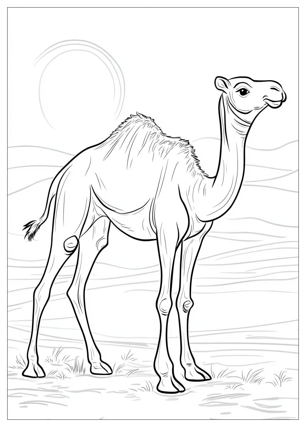 Free Printable Camel Coloring Pages 2 Camel Coloring Pages-2