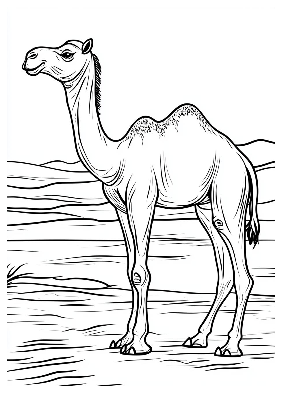 Free Printable Camel Coloring Pages 3 Camel Coloring Pages-3